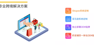 shopee蝦皮ERP店群管理系統,shopee批量采集刊登ERP系統